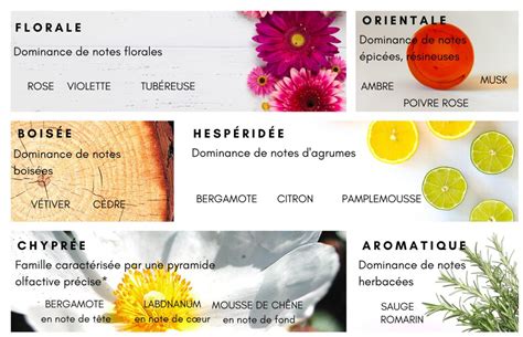 anyli olfative aromes et parfume cours master